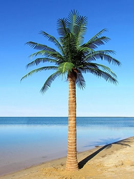 Realistic Wholesale Outdoor Fake Palm Trees Coconut Artificial Palm Trees